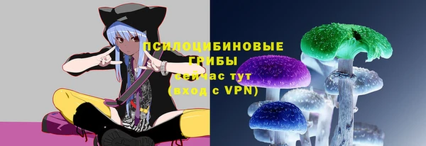 дживик Кинешма