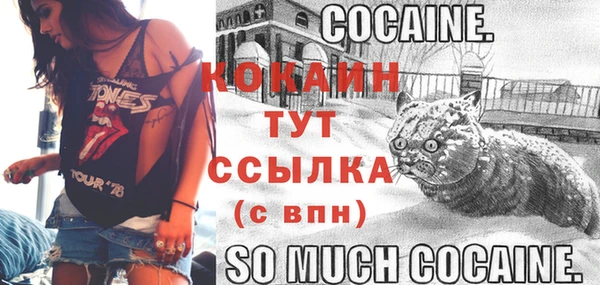 спиды Кодинск