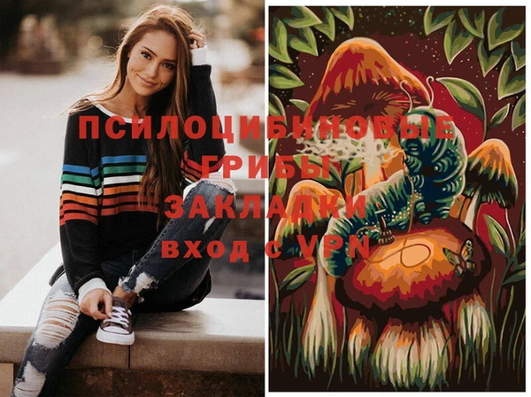 дживик Кинешма