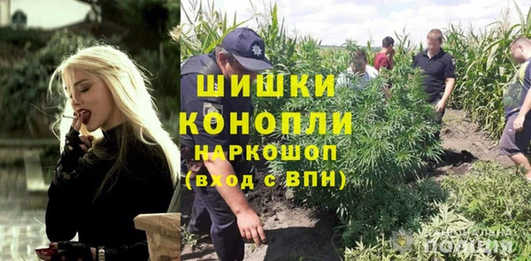 дживик Кинешма